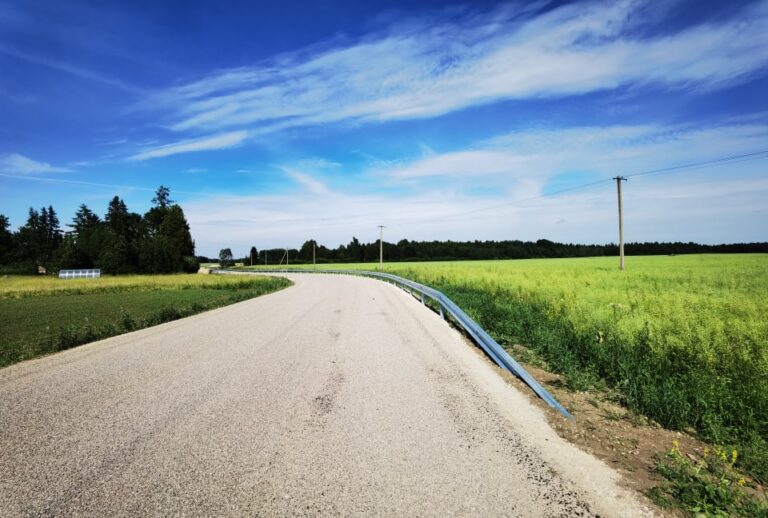 Tee nr 4000043 Läpi-Aru-Ojaküla tee rekonstrueerimine