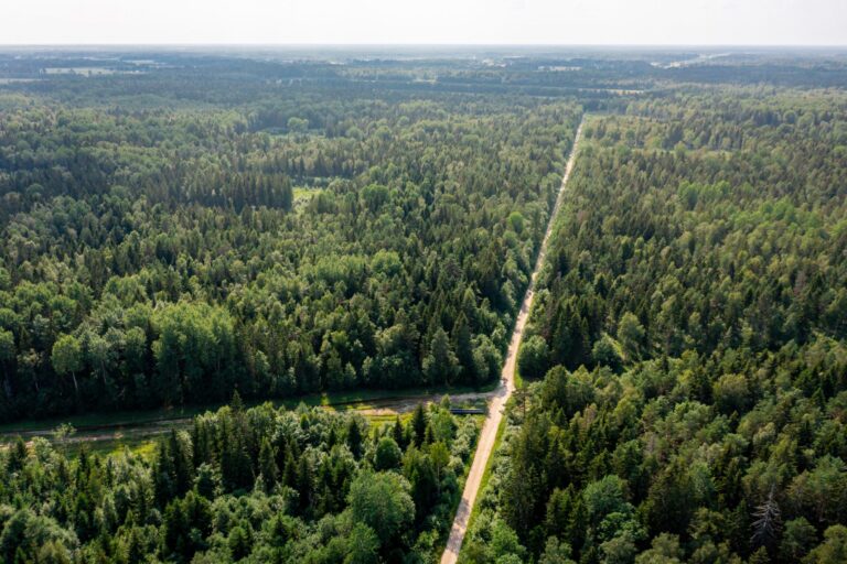 Angerja oja, Sookruusi teel, Angerja küla, Kohila vald, Raplamaa